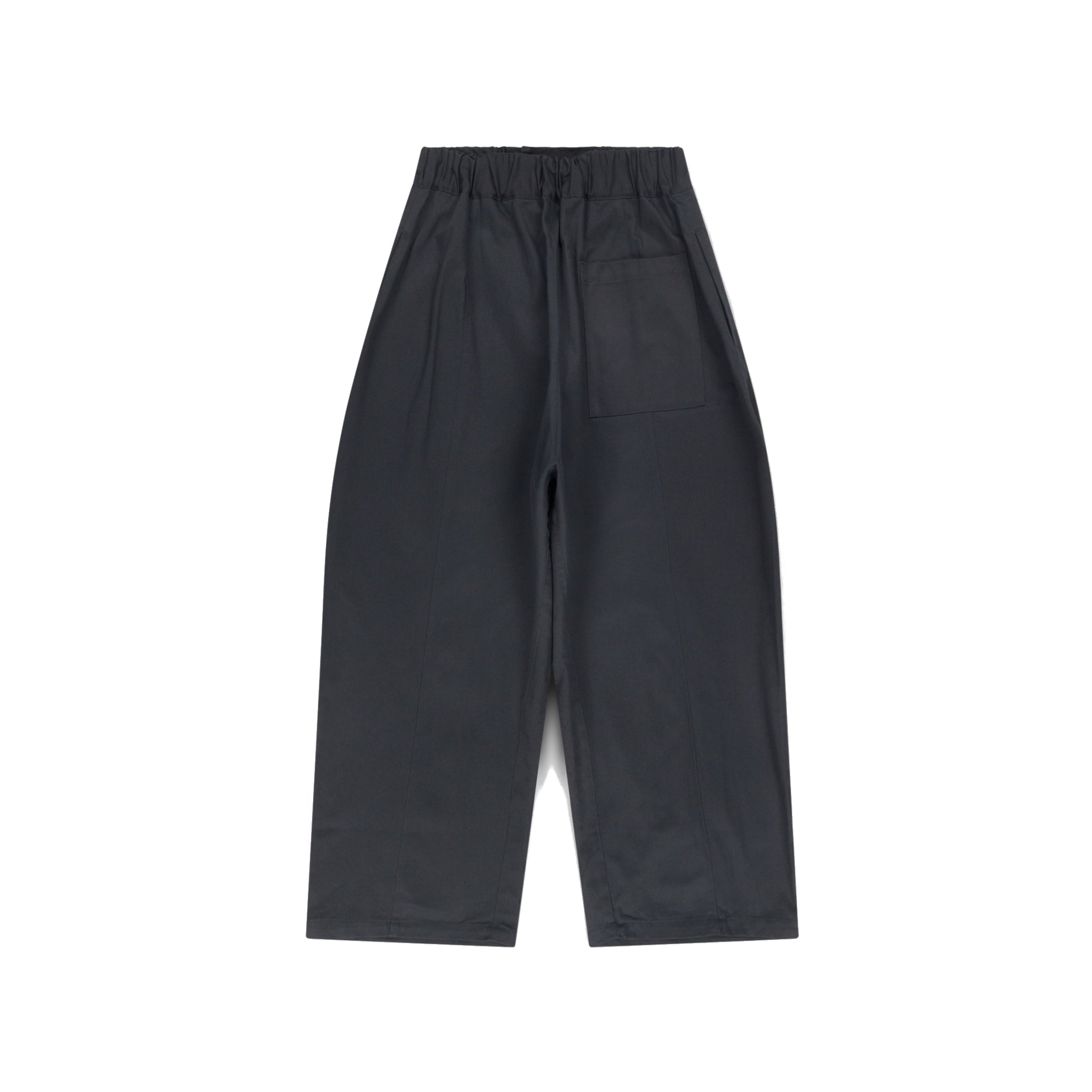 Box Pleat Trouser - Black-Sage Nation-W2 Store